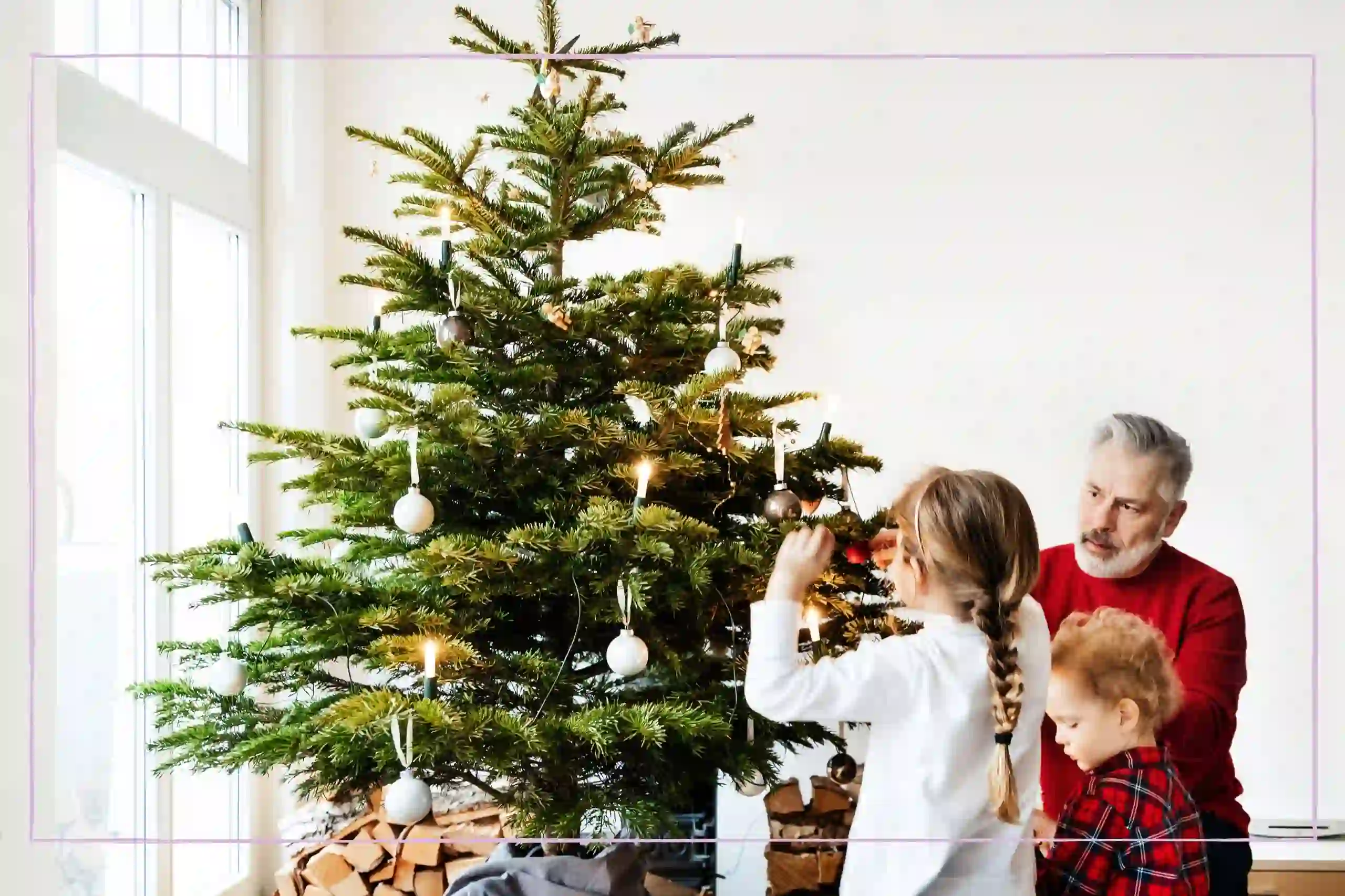 How Christmas Plants & Trees Bring People Together